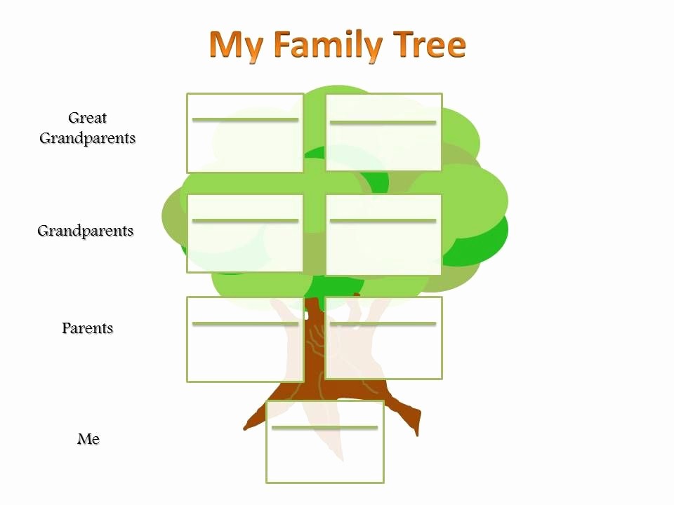 Family Tree Chart Ideas For School Project