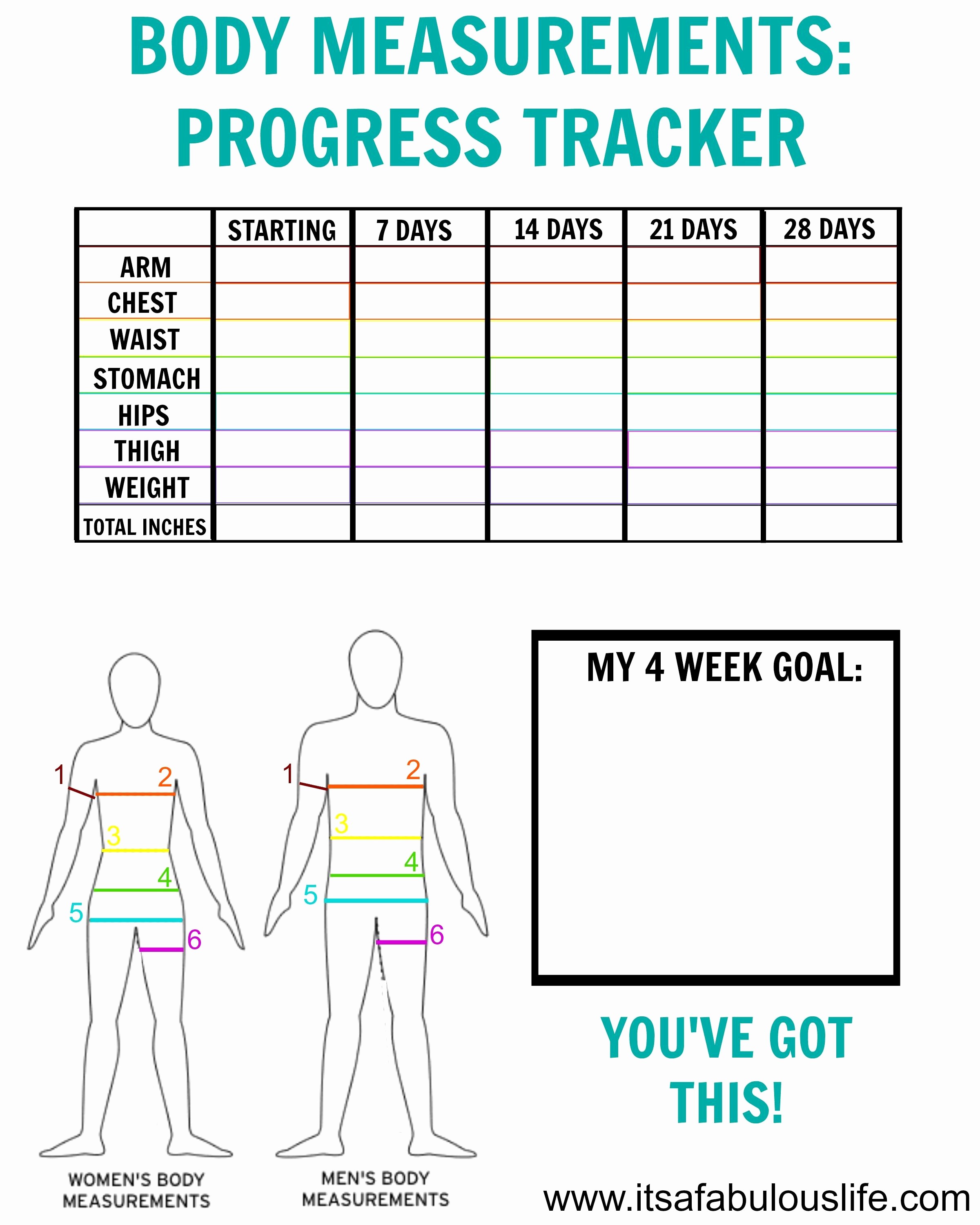 Free Body Measurement Chart For Weight Loss