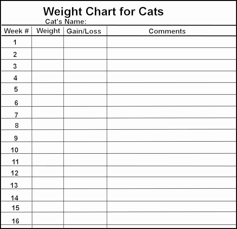 Blank Weight Chart