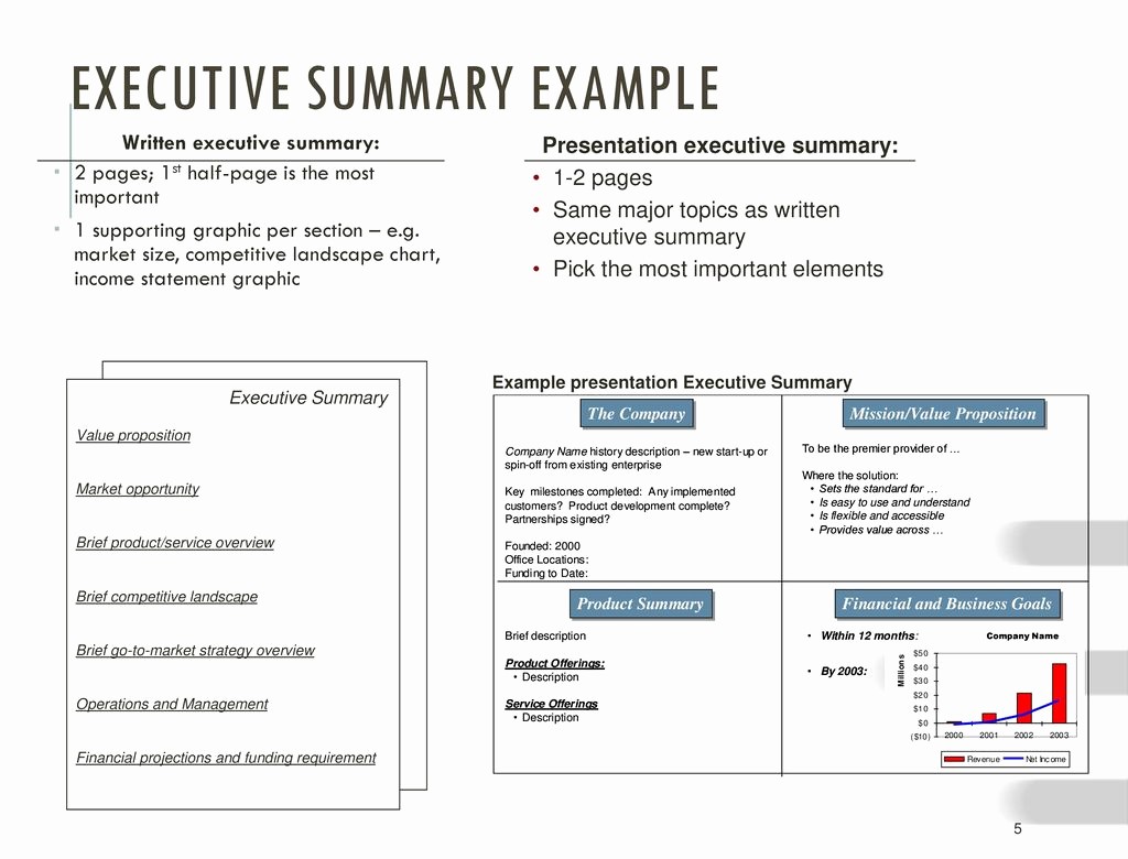 1 Page Executive Summary Example Awesome the Business Plan Presentation Ppt Video Online