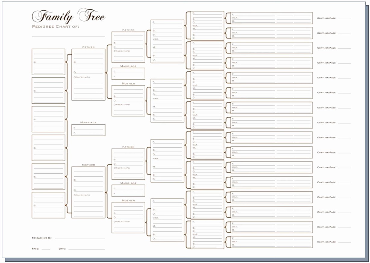 10 Generation Family Tree Excel Beautiful A3 Six Generation Pedigree Chart