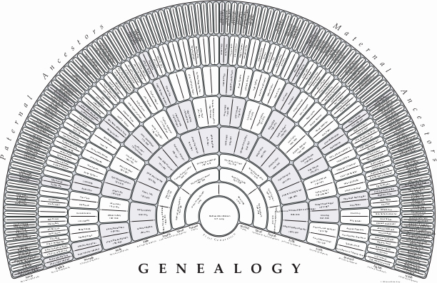 10 Generation Family Tree Excel Beautiful Tree Seek Print 9 Generation Fan Chart