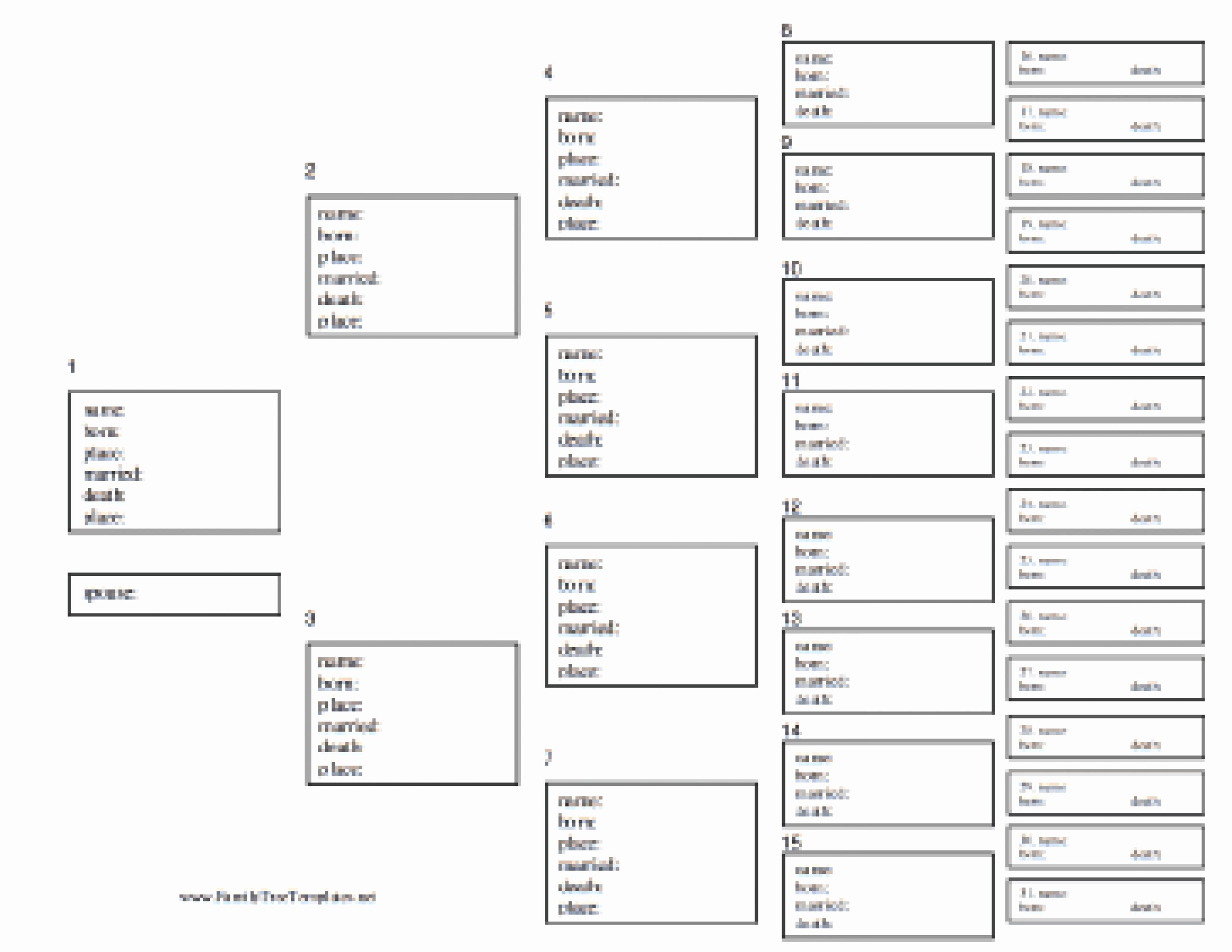 10 Generation Family Tree Excel Inspirational 5 Generation Family Tree Template