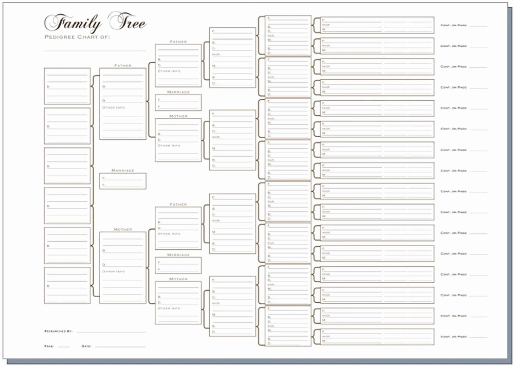 10 Generation Family Tree Excel Luxury A3 Six Generation Family Tree Chart Pedigree Pack Of 3