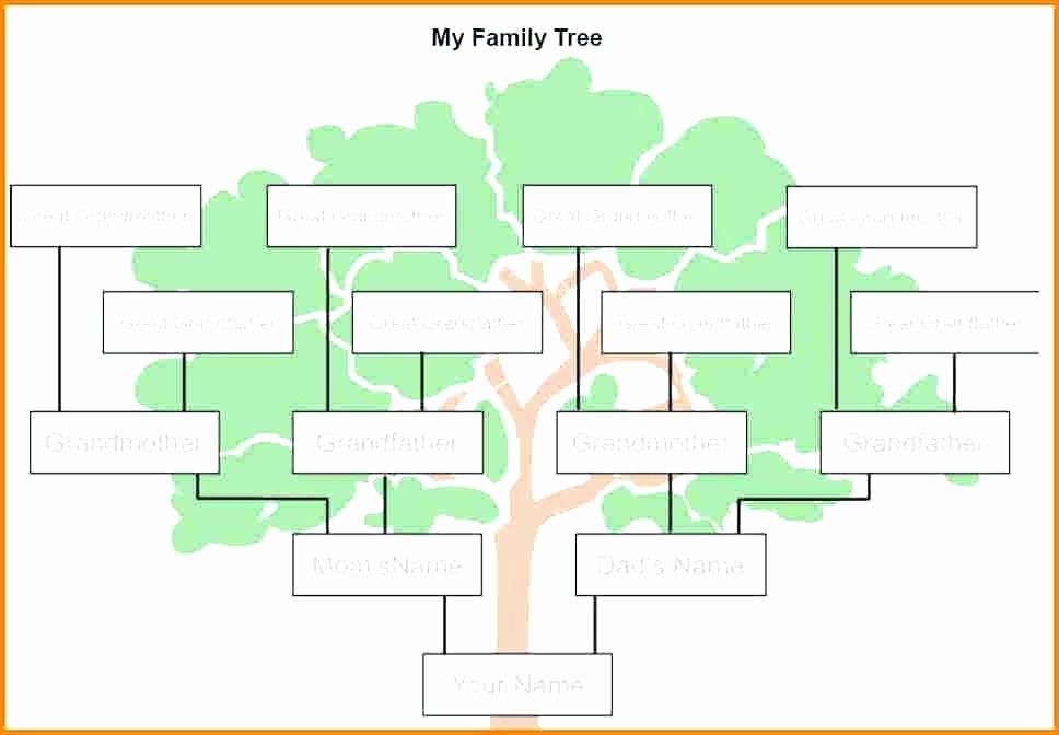 10 Generation Family Tree Excel Luxury Five Generation Family Tree Template – Buildingcontractor