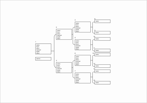 10 Generation Family Tree Template Best Of Four Generation Family Tree Template – 10 Free Word