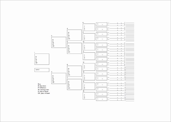 10 Generation Family Tree Template Best Of Seven Generation Family Tree Template – 9 Free Word