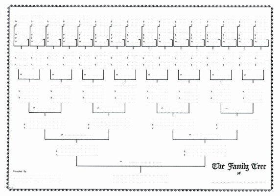 10 Generation Family Tree Template Lovely 4 Best Of 10 Generation Pedigree Chart Template