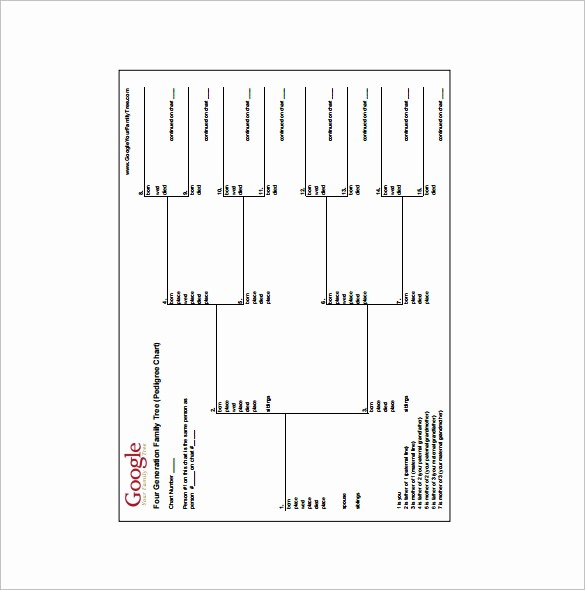 10 Generation Family Tree Template Lovely 4 Generation Family Tree Template – 12 Free Sample