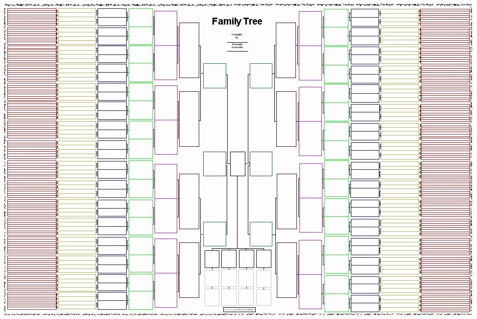 10 Generation Family Tree Template Luxury 10 Generation Smaller Double Chart Blank Charts A