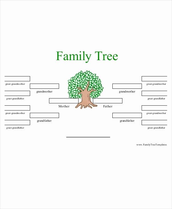10 Generation Family Tree Template Unique Family Tree Template 10 Free Psd Pdf Documents