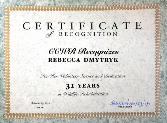 10 Years Of Service Certificate Beautiful Wildrescue S Blog Reunite Wildlife