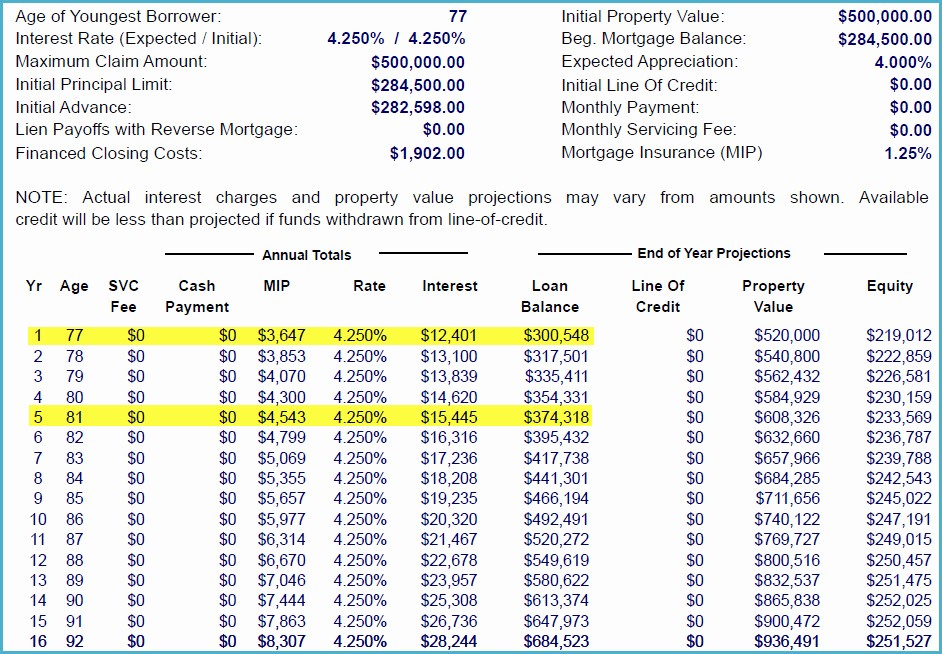 20 Year Amortization Schedule Excel Unique Understanding the Reverse Mortgage Amortization Schedule