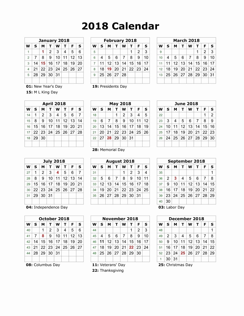 2017 Full Year Calendar Template Luxury Yearly Calendar 2018 Printable