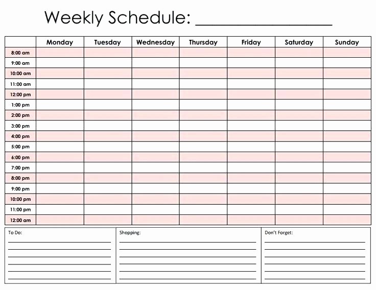 24 Hour Daily Schedule Template Elegant 24 Hour Schedule Template Download Employee Work Blank