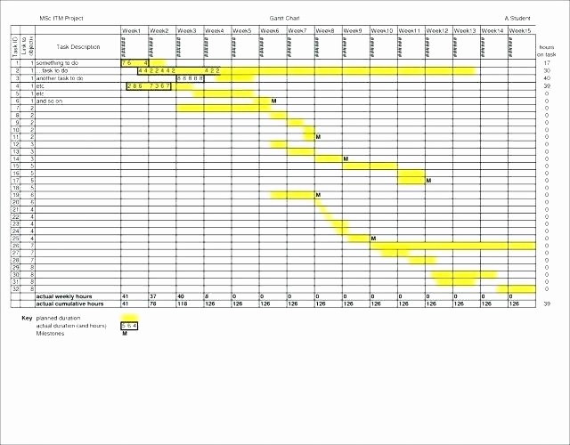 24 Hour Daily Schedule Template Fresh 24 Hour Schedule Template Download Employee Work Blank