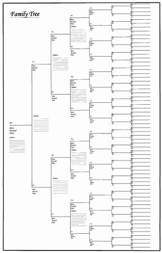 5 Generation Family Tree Template Awesome Family Tree Chart