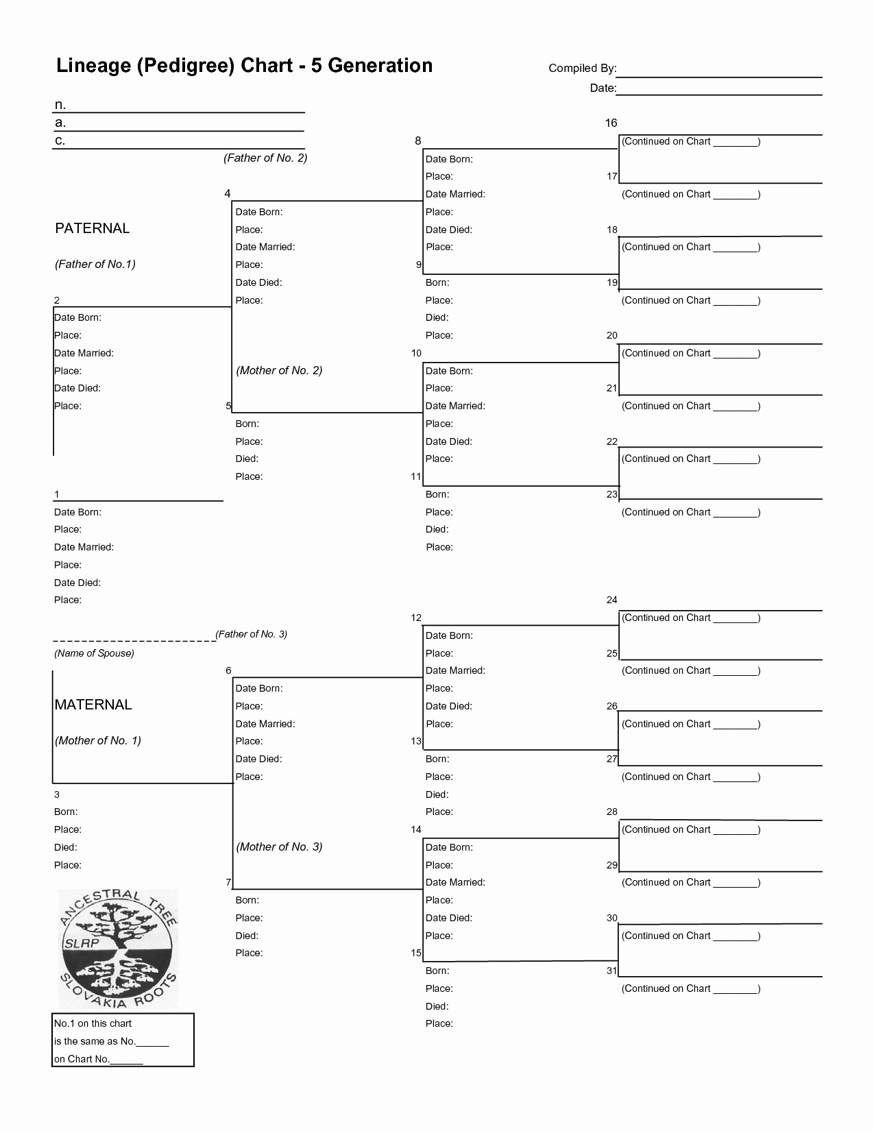 5 Generation Family Tree Template Best Of 12 Best Of Family Tree Pedigree Chart Worksheet 6