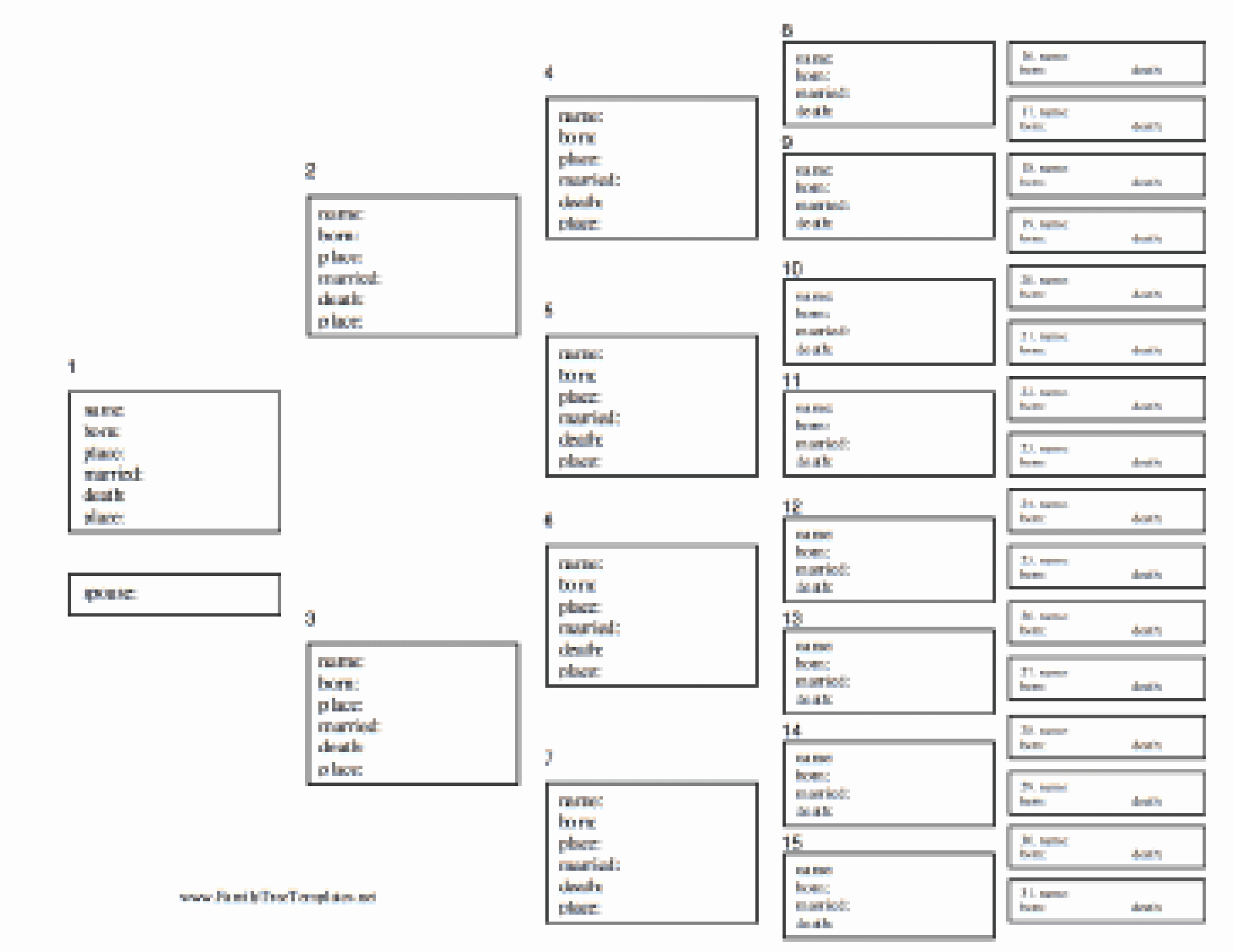5 Generation Family Tree Template Inspirational 5 Generation Family Tree Outline Bamboodownunder