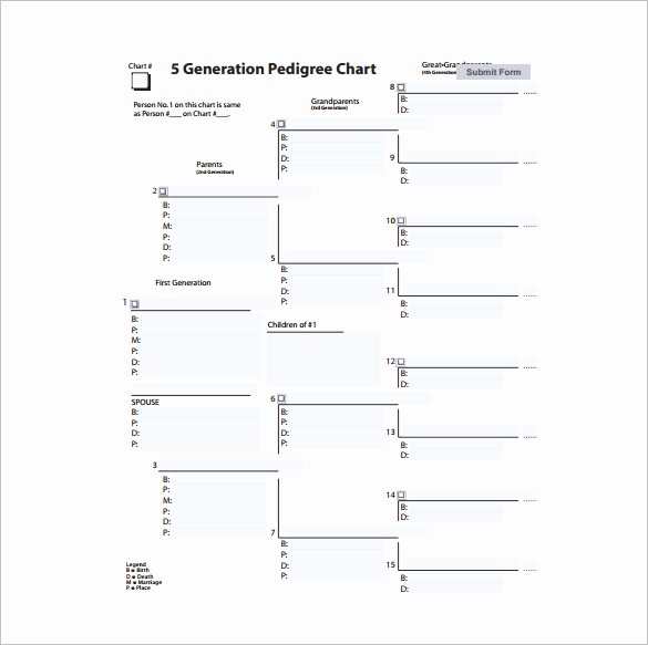5 Generation Family Tree Template Inspirational Family Tree Chart Template – 11 Free Sample Example
