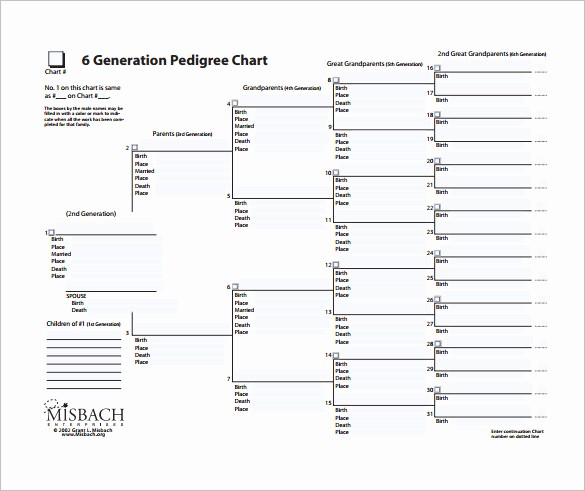 5 Generation Family Tree Template Lovely Family Tree Chart Template – 11 Free Sample Example
