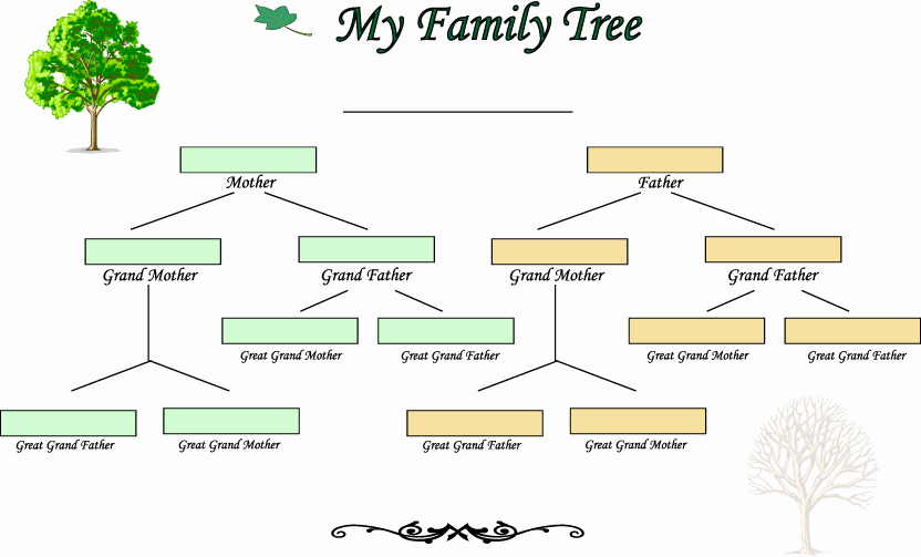 5 Generation Family Tree Template Luxury 10 Best Of Free Blank Family Tree Template Editable
