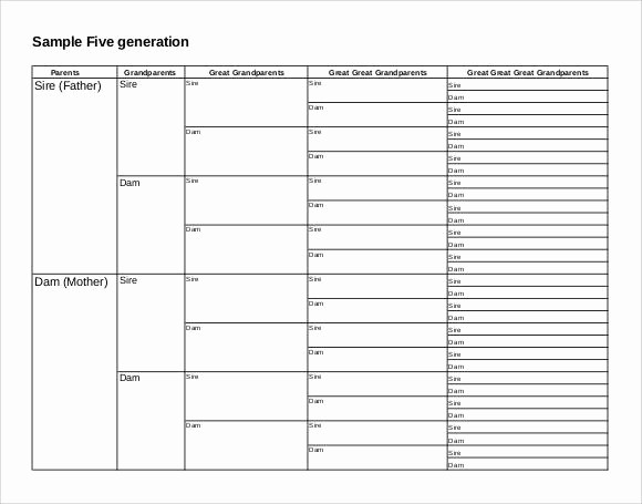 5 Generation Family Tree Template Unique 53 Family Tree Templates