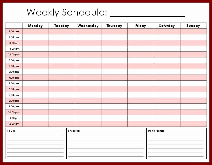 7 Day Schedule Template Excel Awesome Hourly Schedule Template Excel