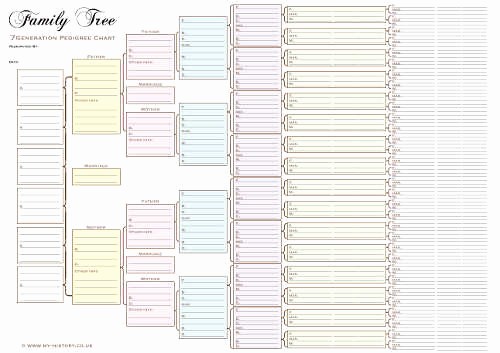 7 Generation Family Tree Template Awesome A3 Seven Generation Pedigree Chart