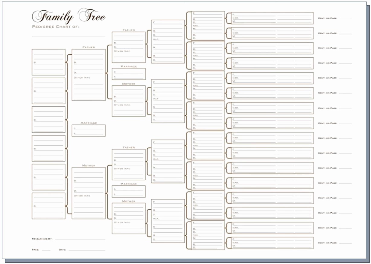 7 Generation Family Tree Template Best Of 6 Generation Pedigree Chart White Templates