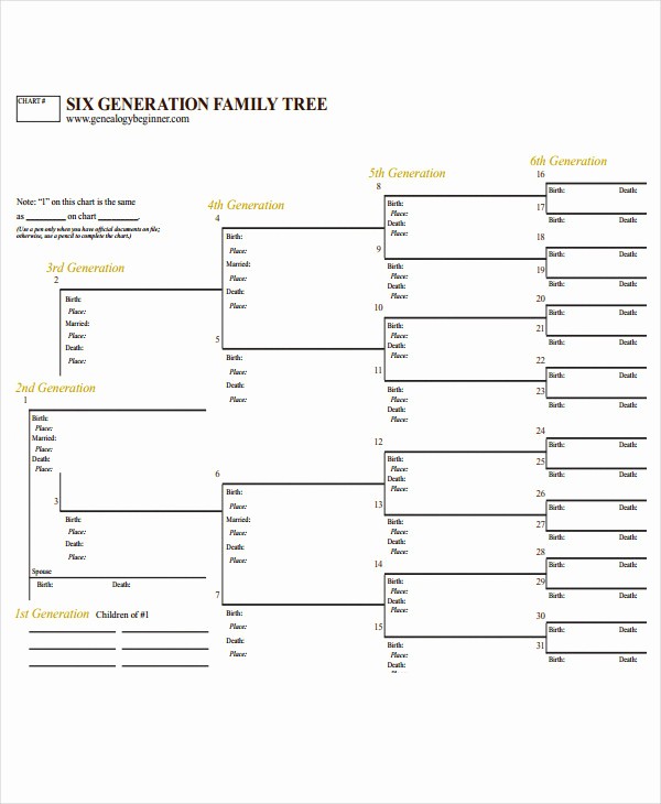 7 Generation Family Tree Template Lovely 19 Family Tree Templates