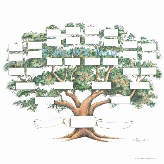 7 Generation Family Tree Template Lovely Family Tree Scrapbook Chart 12x12 Inch 5 6 Generations