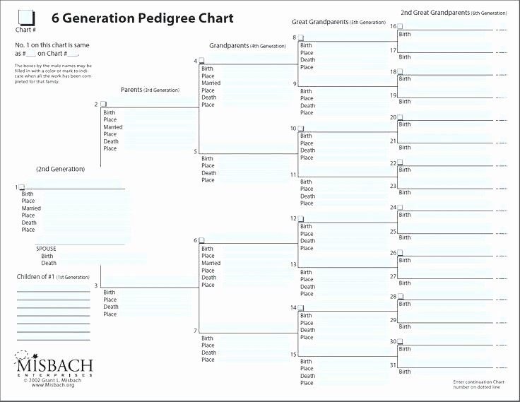 7 Generation Family Tree Template New Five Generation Family Tree Template – Buildingcontractor
