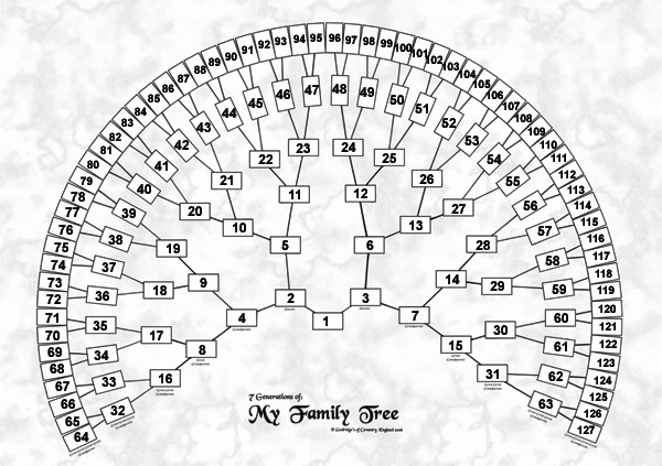 7 Generation Family Tree Template Unique Family Tree Template Family Tree Template Seven Generations