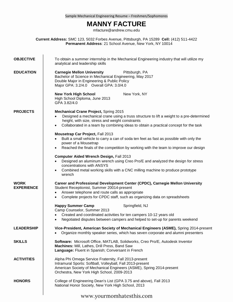 A Template for A Resume Elegant 10 Fresher Resume Templates Download Pdf