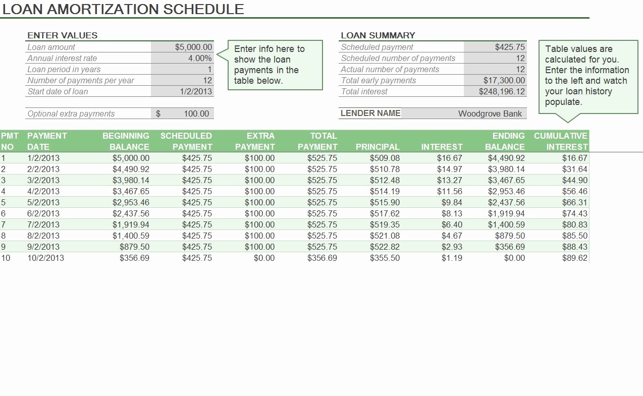 50 Amortization Schedule with Variable Payments