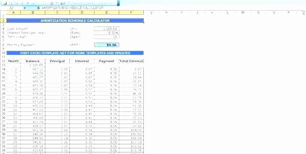 Amortization Schedule with Variable Payments New Loan Amortization Excel Spreadsheet Calculator Home