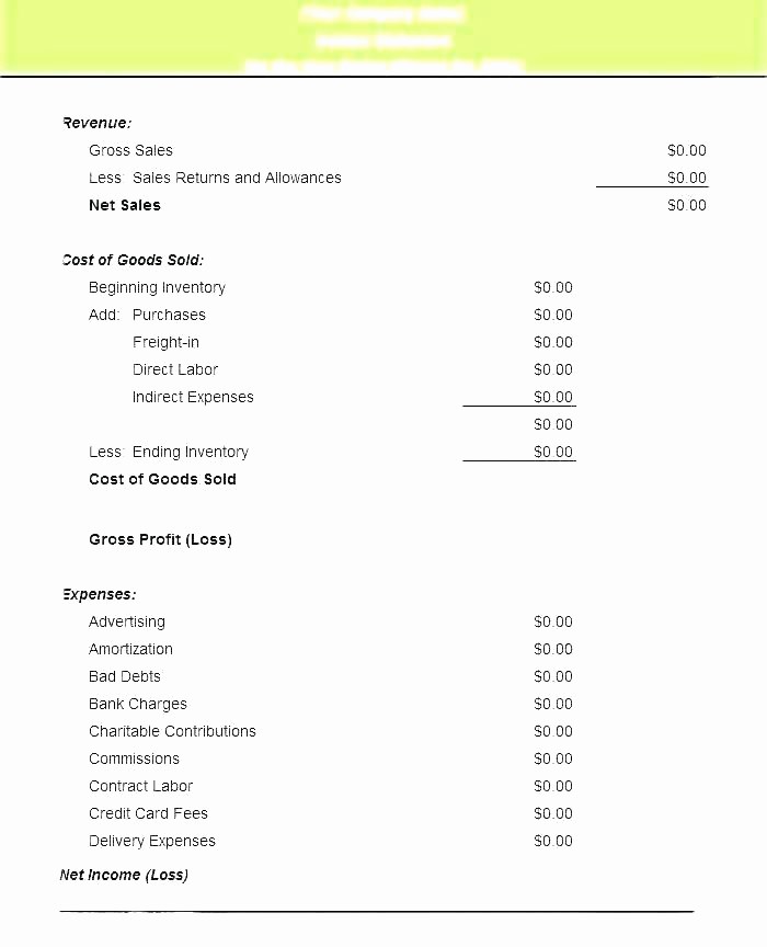 Annual Profit and Loss Statement Beautiful Pl Statement Template