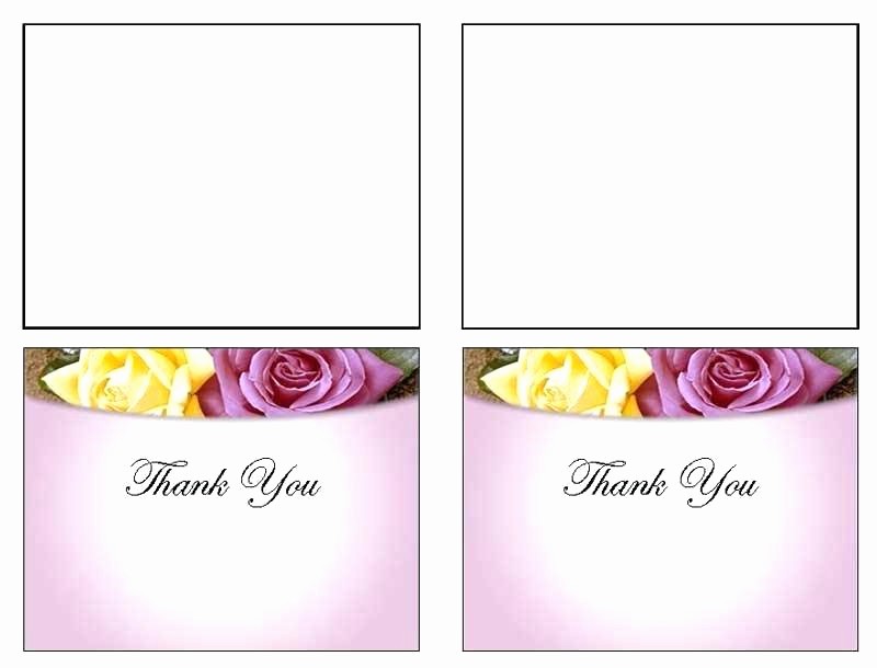 Avery 8315 Note Cards Template Unique Avery 8315 Template – Bestuniversitiesfo