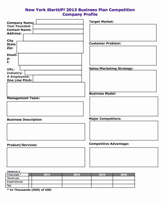 Basic Business Plans Templates Free Inspirational Startup Business Plan Template Pdf