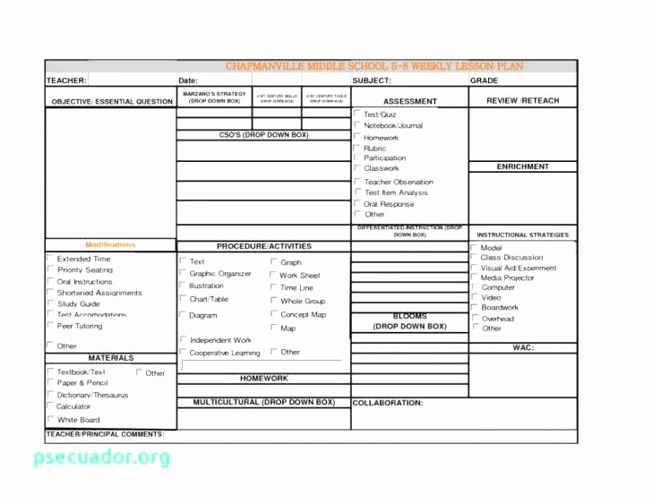 Basic Lesson Plan Template Word Awesome Basic Lesson Plan Template Word