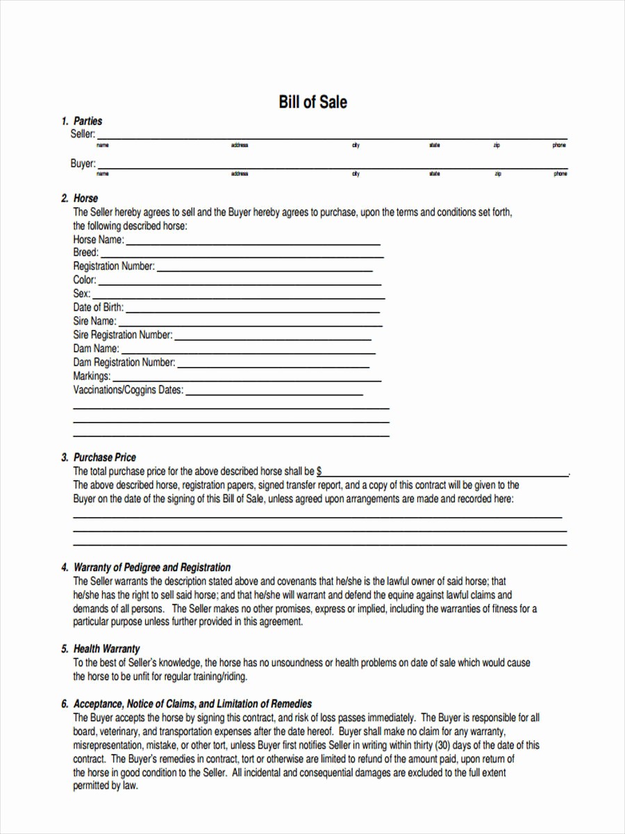 Bill Of Sale Example form Best Of 6 Horse Bill Of Sale form Samples Free Sample Example