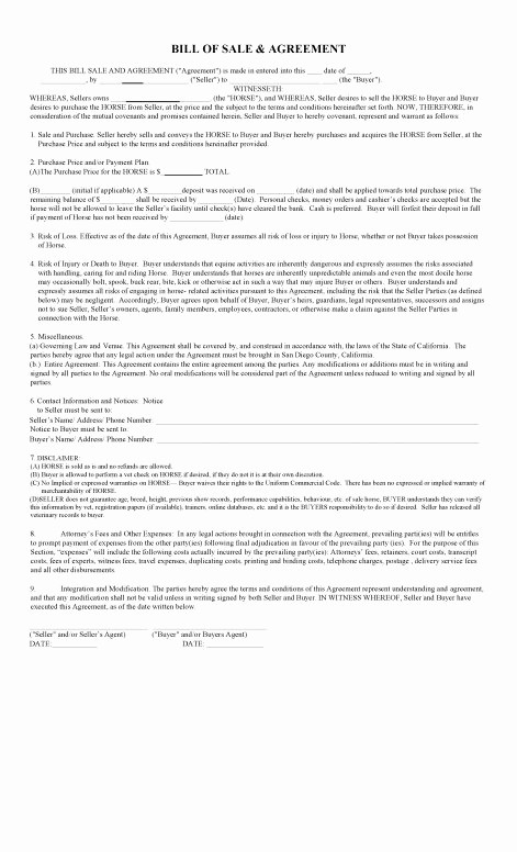 Bill Of Sale Payment Agreement Best Of Free California Horse Bill Of Sale &amp; Agreement Template