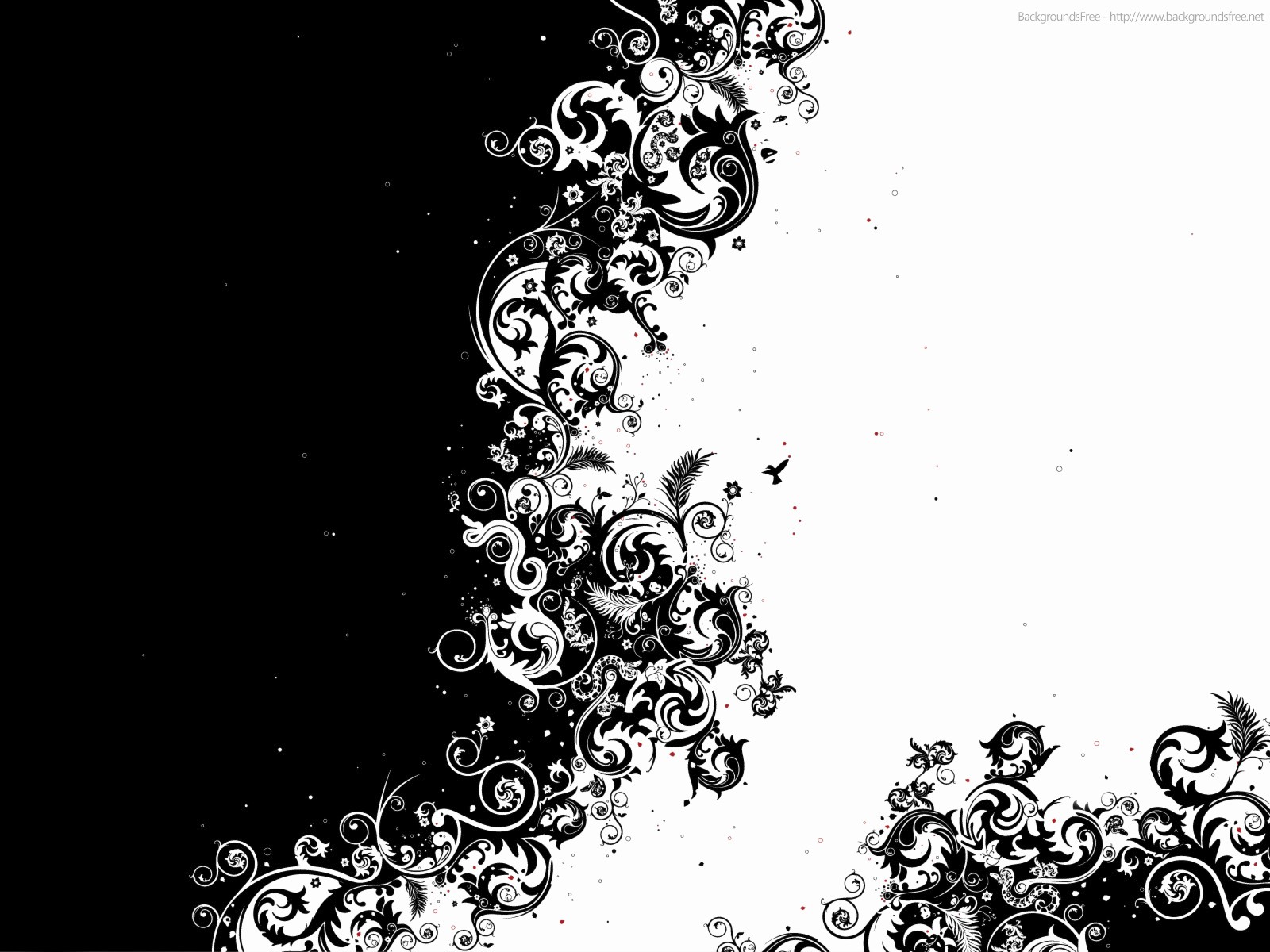 Black and White Powerpoint Template Luxury Beauty Abstract Black White Backgrounds
