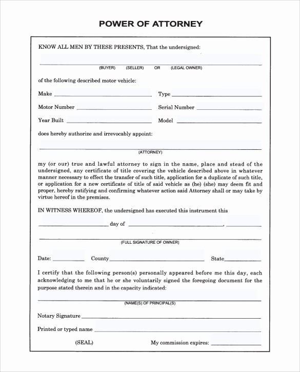 Blank P&amp;amp;l form Best Of 10 Blank Power Of attorney forms to Download