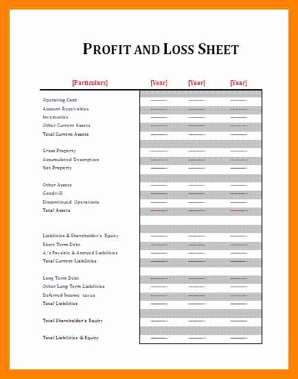 Blank Profit and Loss Sheet Awesome 11 Free Printable Profit and Loss Statement