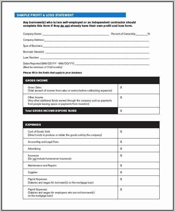 Blank Profit and Loss Sheet Awesome Certified Profit and Loss Statement Template Resume