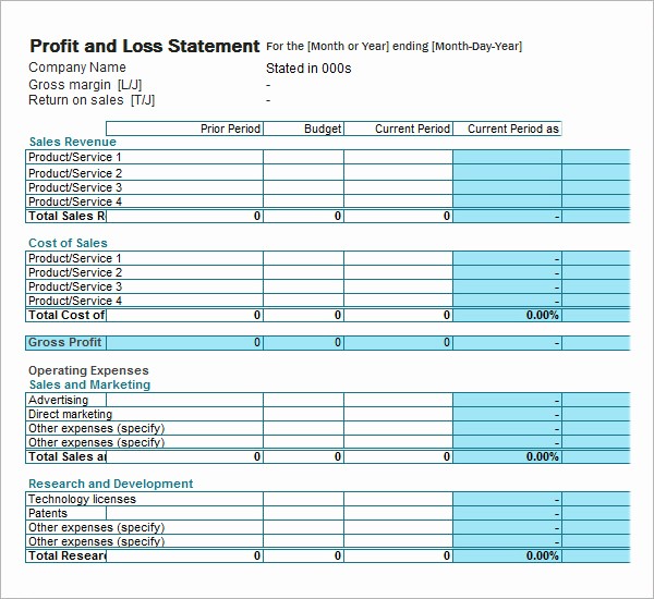 Blank Profit and Loss Sheet Fresh 19 Sample Profit and Loss Templates