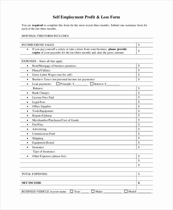 Blank Profit and Loss Sheet Unique 7 Sample Profit and Loss Statement forms