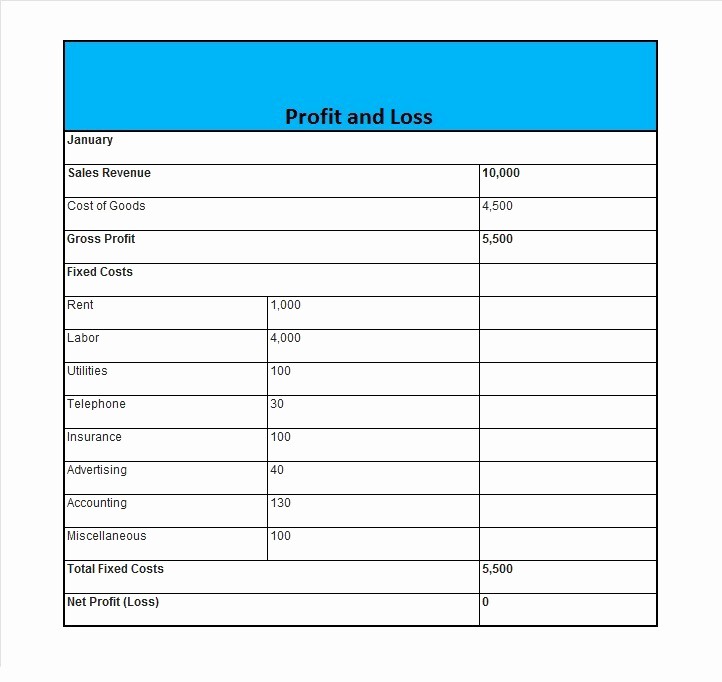 Blank Profit and Loss Template Awesome 35 Profit and Loss Statement Templates &amp; forms